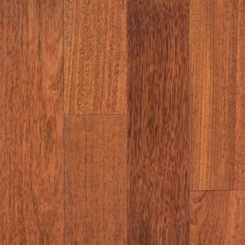 Enopy Cherry